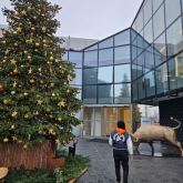 USCITA DIDATTICA – VISITA al MUSEO AUTOMOBILI LAMBORGHINI e LAMBORGHINI FACTORY TOUR.