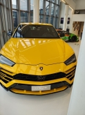 USCITA DIDATTICA – VISITA al MUSEO AUTOMOBILI LAMBORGHINI e LAMBORGHINI FACTORY TOUR.