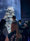 USCITA DIDATTICA A GENOVA – VISITA DELL’ACQUARIO