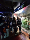 USCITA DIDATTICA A GENOVA – VISITA DELL’ACQUARIO