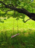 PROGETTO FREUD “NATURA E BENESSERE IN MONTAGNA A TORGNON”