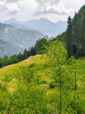 PROGETTO FREUD “NATURA E BENESSERE IN MONTAGNA A TORGNON”
