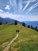 PROGETTO FREUD “NATURA E BENESSERE IN MONTAGNA A TORGNON”