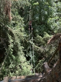 PROGETTO FREUD “NATURA E BENESSERE IN MONTAGNA A TORGNON”