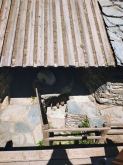 PROGETTO FREUD “NATURA E BENESSERE IN MONTAGNA A TORGNON”