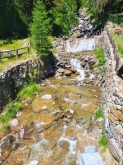 PROGETTO FREUD “NATURA E BENESSERE IN MONTAGNA A TORGNON”