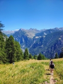 PROGETTO FREUD “NATURA E BENESSERE IN MONTAGNA A TORGNON”