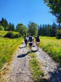 PROGETTO FREUD “NATURA E BENESSERE IN MONTAGNA A TORGNON”