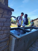 PROGETTO FREUD “NATURA E BENESSERE IN MONTAGNA A TORGNON”