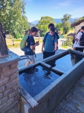 PROGETTO FREUD “NATURA E BENESSERE IN MONTAGNA A TORGNON”