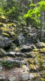 PROGETTO FREUD “NATURA E BENESSERE IN MONTAGNA A TORGNON”