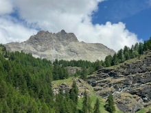 PROGETTO FREUD “NATURA E BENESSERE IN MONTAGNA A TORGNON”