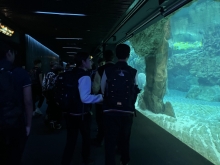 USCITA DIDATTICA A GENOVA – VISITA DELL’ACQUARIO