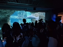 USCITA DIDATTICA A GENOVA – VISITA DELL’ACQUARIO