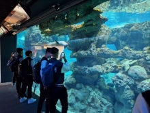 USCITA DIDATTICA A GENOVA – VISITA DELL’ACQUARIO