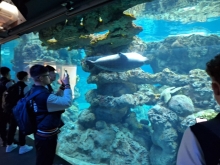 USCITA DIDATTICA A GENOVA – VISITA DELL’ACQUARIO