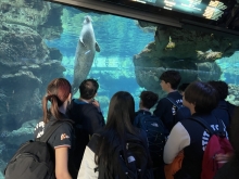 USCITA DIDATTICA A GENOVA – VISITA DELL’ACQUARIO