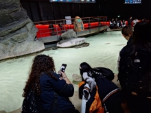 USCITA DIDATTICA A GENOVA – VISITA DELL’ACQUARIO